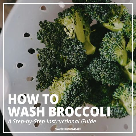 Find out how to wash broccoli properly with this step-by-step guide. Learn why it is important that broccoli is cleaned and washed before cooking or freezing, along with other useful information. Washing Broccoli, How To Clean Broccoli, Cleaning Broccoli, Vinegar And Water Cleaner, How To Prepare Broccoli, Cooking Fresh Broccoli, Diy Vinegar, Broccoli Leaves, Broccoli Benefits