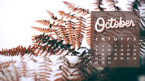 Happy October! New desktop backgrounds available! 31 free desktop backgrounds for October 2023 that I love and hope you do too! Free desktop background. Free desktop background computers. Desktop wallpaper aesthetic. Desktop background calendar October 2023. Free desktop wallpaper. Free desktop background minimalist. Free desktop background floral. Free desktop background laptops. Free desktop calendar wallpaper. Free desktop wallpaper. Desktop wallpaper. Hd Wallpaper 1080x1920 Desktop, Hd Wallpaper 1080x1920, Wallpaper Backgrounds Laptop, Wallpaper October, Computer Screen Wallpaper, Desktop Wallpaper Free, Calendar October, Wallpaper Aesthetic Desktop, Backgrounds Laptop