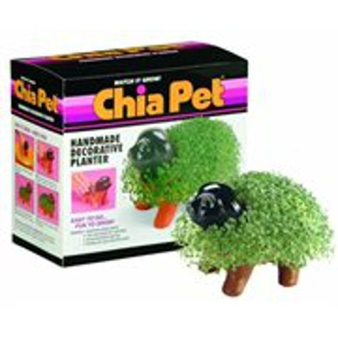 Pet Grass, Chia Pet, Handmade Planter, Seed Pack, Unique Pottery, Self Watering Planter, Decorative Planters, Pottery Planters, Top Toys