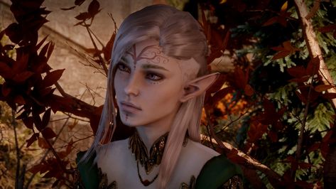 Dragon Age Inquisition Elf, Elf Female, Female Elf, Dragon Age Inquisition, Dragon Age, Dungeons And Dragons, Sliders, Elf, Princess Zelda