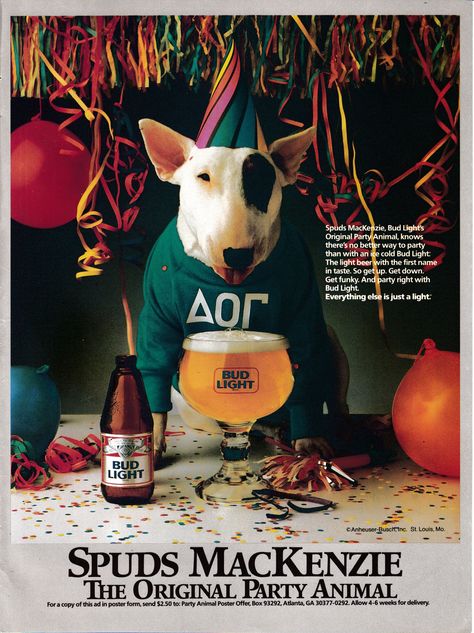 Spuds MacKenzie, Bud Light's Original Party Animal poster from 1987. Spud Mckenzie Dog, Bud Light Beer, A Bull, English Bull Terriers, Party Animals, Dog Poster, English Bull, Bud Light, Animal Posters