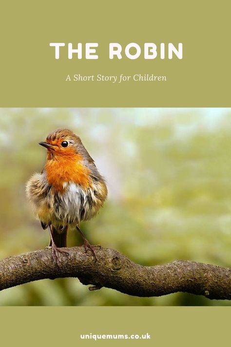 Today I’m sharing a short story about a little boy called Mark who struggled to find friends at school and so he made friends with an animal. Later on, though he was encouraged by a teacher to seek human friendships too. This is a Christian Short Story For Children. Short Inspirational Christian Stories, Christian Short Stories, Mum Memes, Friends At School, Childrens Sermons, Christian Stories, Friends Illustration, Geography Lessons, Short Stories For Kids