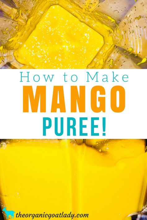 Mango Puree Recipe, Mango Baby Food, Recipes Mango, Mango Smoothie Recipes, Baby Food Chart, Baby Puree Recipes, Mango Puree, Organic Baby Food, Homemade Baby Foods