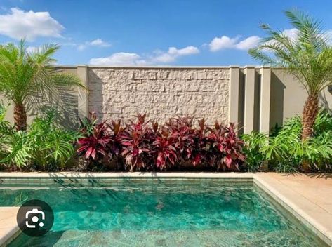 Tropical Pool Landscaping, Landscaping Pool, Pool Plants, Garden Landscaping Ideas, Indoor Oasis, Enchanting Garden, Tropical Garden Design, Pool House Plans, Pool Landscape Design