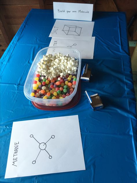 Build a molecule station for science birthday Science Birthday Party Food Ideas, Science Birthday Cake, Science Snack, Science Themed Party, Science Birthday Party Ideas, Costco Cake, Mad Science Party, Scientist Party, Science Birthday