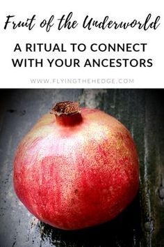 FRUIT OF THE UNDERWORLD RITUAL: A RITUAL TO CONNECT WITH YOUR ANCESTORS  What You'll Need: Pomegranate (sliced open) Black Candle White Candles  Obsidian  Mugwort  Charcoal Hot Plate (for charcoal) Lighter/Match Notebook/BOS Witch's Staff, Ancestral Witchcraft, Grimoire Spells, Ancestral Magic, Wiccan Holidays, Samhain Traditions, Spirit Communication, Black Candle, Symbolic Representation