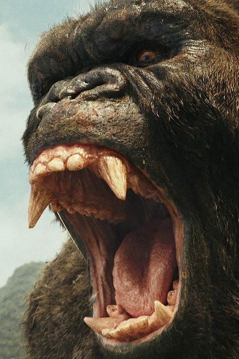 King Kong Skull Island, Kong Skull Island, King Kong Art, King Kong Vs Godzilla, Kong Godzilla, Gorillas Art, Gorilla Tattoo, Monkey Wallpaper, Skull Island