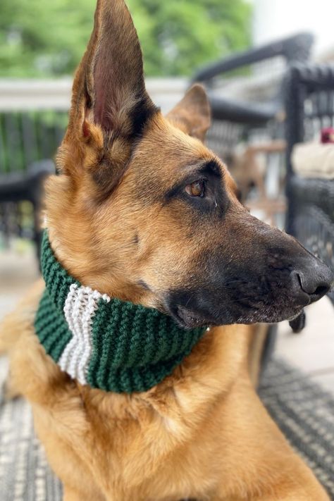 Matching Dog And Owner Crochet, Mom Accessories, Dog Modeling, Green Scarf, Dog Scarfs, Fall Accessories, Dog Dresses, Crochet Animals, German Shepherd