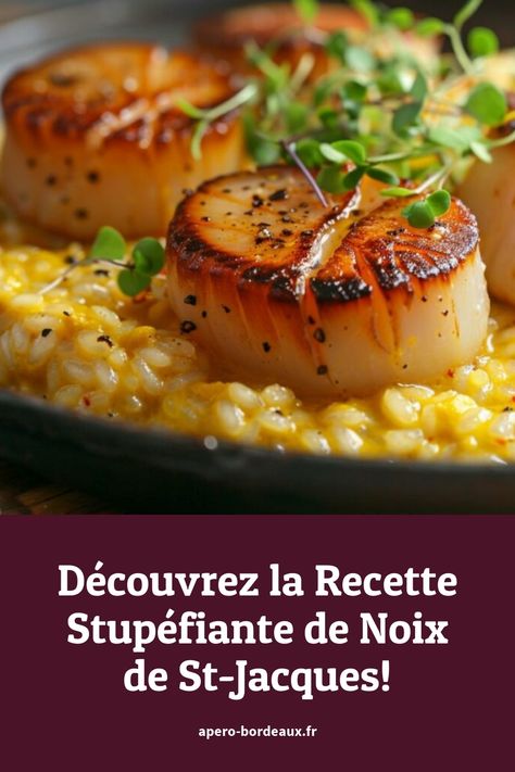 Noix de St-Jacques dorées et servies sur un lit de risotto crémeux, garnies de micro-pousses et de poivre noir. Coquilles St Jacques Recipe, Sterling Saint Jacques, Scallops Coquilles St. Jacques, Coquille St Jacques, Saint Jacques