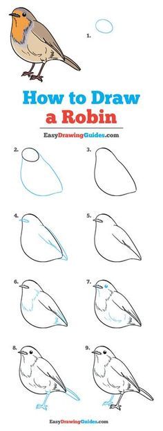 Bird Drawing Easy, Robin Drawing, Bird Painting Diy, Drawing Bird, Easy Drawing Guides, Paint Diy Crafts, Drawing Guides, Bird Sketch, Bird Drawing