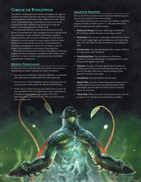 Druid Subclass Homebrew, Druid Subclasses 5e, Dnd Archetypes, Druid Circle, Dnd Ranger, Dnd Subclasses, Dnd Druid, Dragons 5e, D D Classes