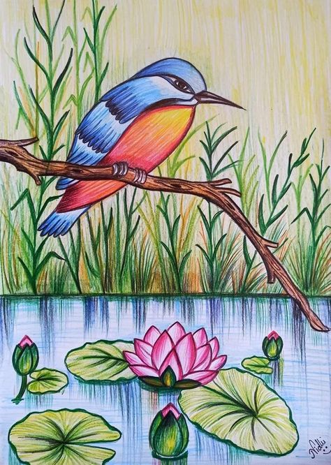 Line Art Drawings Birds, Drawing Ideas Nature Colour, Realistic Drawings Colored Pencils, Bird Drawing For Kids, Scenery Drawing For Kids, Oil Pastel Drawings Easy, Scenery Drawing, Arte Doodle, Animal Images