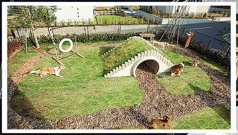 Dog Run - Ouch! - Struggling to discover the solutions that you have been searching for? Why not try Amazon.com TODAY! Dog Obstacle Course, Dog Park Design, Outdoor Dog Area, Backyard Dog Area, Puppy Playground, Dog Play Area, Dog Friendly Garden, Hotel Pet, Pet Garden