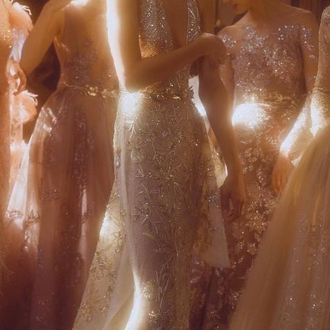 Champagne Aesthetic, Speak Now Taylor Swift, Gold Aesthetic, Speak Now, Classy Aesthetic, Dress Aesthetic, Beige Aesthetic, Light Academia, Brown Aesthetic