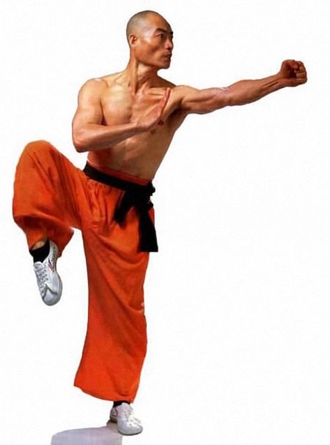 Arte Yoga, Shaolin Monks, Kung Fu Martial Arts, Shaolin Kung Fu, Action Pose Reference, Male Pose Reference, Martial Arts Techniques, Pencak Silat, Anatomy Poses