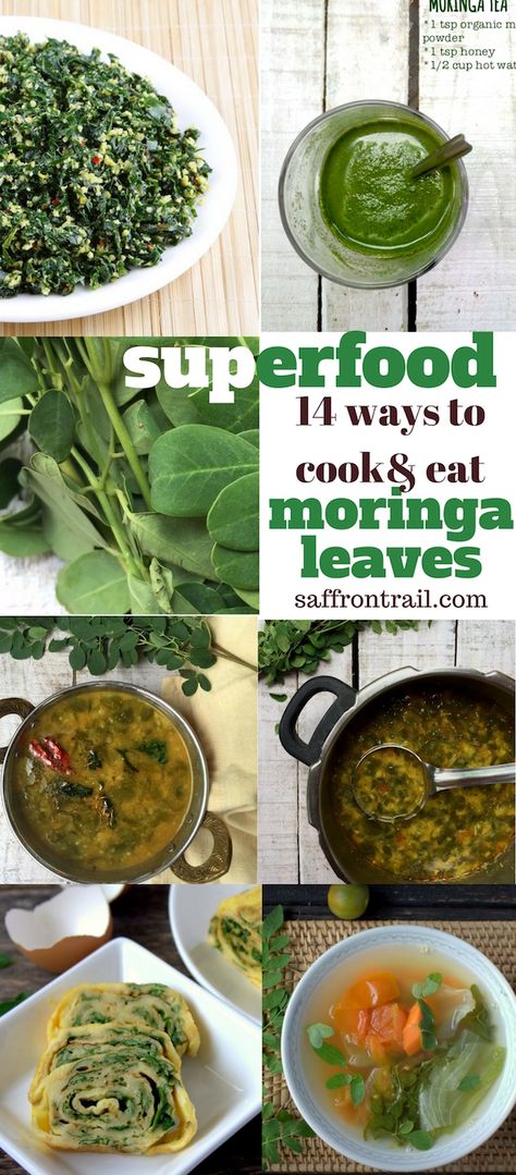 Moringa or Drumstick leaves have immense nutritive value. Get 14 interesting ideas to cook moringa leaves, from breakfast to dinner Drumstick Leaves, Moringa Recipes, Gym Nutrition, Moringa Leaves, Foods And Drinks, Superfood Recipes, Vegan Nutrition, Interesting Ideas, Healthy Nutrition