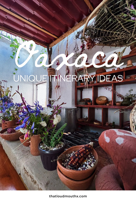 Use this Oaxaca travel guide to learn where to stay in Oaxaca Mexico, the top things to do in Oaxaca, and where to eat in Oaxaca! If you're traveling to Oaxaca, you need to be informed so you can make the best of your visit to this magical city in Mexico!

oaxaca city travel; oaxaca travel tips; oaxaca mexico food; oaxaca mexico; oaxaca city; travel to oaxaca; oaxaca mexico things to do; best things to do in oaxaca Oaxaca Itinerary, Oaxaca Mexico Food, Oaxaca Travel, Oaxaca Mexico Travel, Oaxaca City Mexico, Puerto Escondido Oaxaca, Itinerary Ideas, Magical City, Oaxaca City