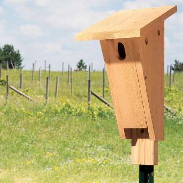 Build a Bluebird HouseBluebird populations declined during the first half of the last century as habitat loss and the introduction of 'pest' bird species claimed many of the bluebird’s natural nesting sites. Now, however, bluebirds are making a dramatic comeback, thanks to thousands of dedicated folks who have put up bluebird nesting boxes. Here’s how to build one for your yard.Do you have the DIY bug but only a Saturday morning free to get projects done? Here are 101 amazing Sat Blue Bird Houses Diy, Bluebird Houses, How To Build Abs, Bluebird House, Cedar Boards, Bird House Plans, Bird House Kits, Herb Gardens, Bird Aviary