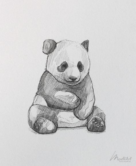 Nature Drawings Animals, Sketching Ideas Animals, Panda Drawing Sketches, Cute Panda Drawing Sketches, Zoo Animal Sketches, Giant Panda Drawing, Cute Panda Sketch, Endangered Animals Drawing, What Should I Draw In My Sketchbook