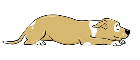 lion pose dog sleeping position Dog Drawing Reference, Dog Sleeping Positions, Dog Drawing Simple, Dog Sleeping, Dog Sketch, Animal Doodles, Sleeping Positions, Dog Pin, Sleeping Dogs