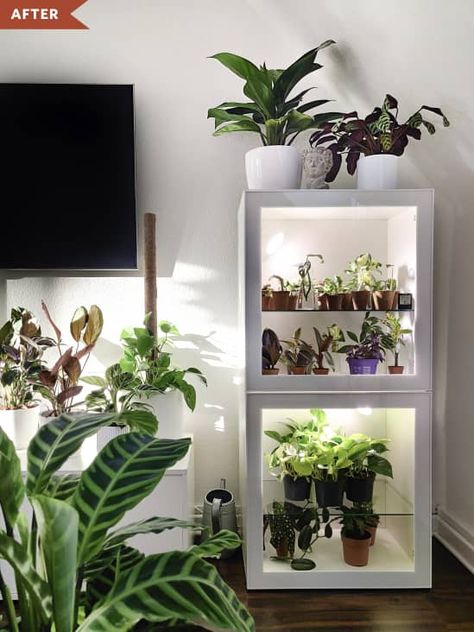 After: IKEA BESTA cabinet with glass doors, outfitted with grow lights Indoor Plant With Lights, Besta Ikea Plants, Indoor Garden Grow Lights, Grow Light Cabinet, Ikea Grow Light, Plants Lighting Indoor, Indoor Plant Grow Lights, Grow Light For Indoor Plants, Indoor Garden With Grow Lights