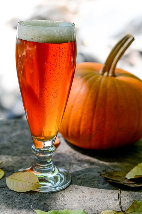 4 Pumpkin Beer Desserts for Fall Beer Desserts, Desserts For Fall, Beer Knowledge, Beer Dessert, Drink Board, Different Types Of Beer, Baking Soda Face, Pumpkin Beer, Beer Glassware