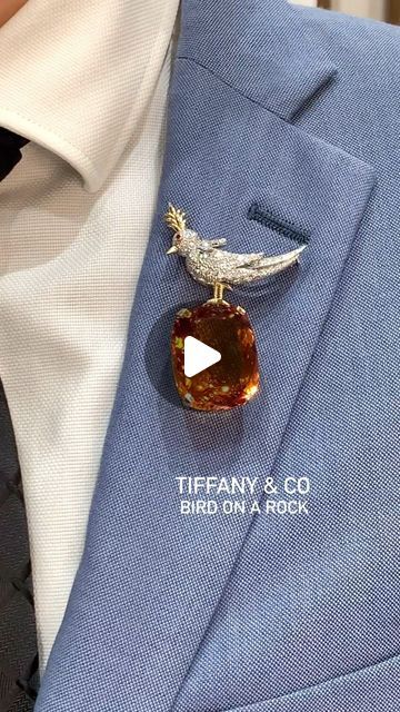 Fashion Journalist, Jean Schlumberger, Whimsical Aesthetic, Tiffany Diamond, Bird Brooch, Famous Fashion, Gorgeous Jewelry, A Rock, Blue Velvet