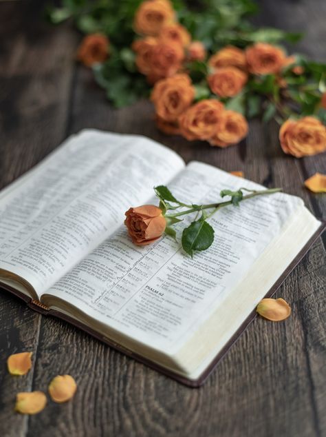 Bible With Flowers Photography, Bible Photography, Jesus Christ Illustration, Goodbyes Are Not Forever, Christian Photography, Bible Photos, Till We Meet Again, My Favourite Teacher, Canvas Learning