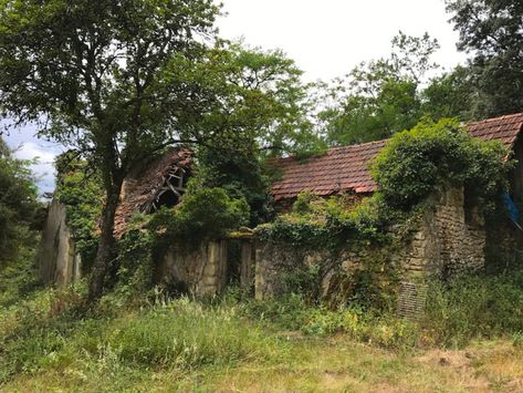 crumbling farm house overgrown with trees Overgrown Village, The Land Of Stories, Cave Art, Canoe Trip, Nursery Inspo, The Revenant, 3d Projects, France Travel, Travel Itinerary