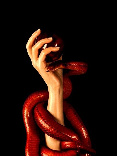 Red Snake, Cherry Wine, Friends With Benefits, Mystical Art, Red Aesthetic, Character Aesthetic, Beautiful Tattoos, Aesthetic Photography, Dark Art