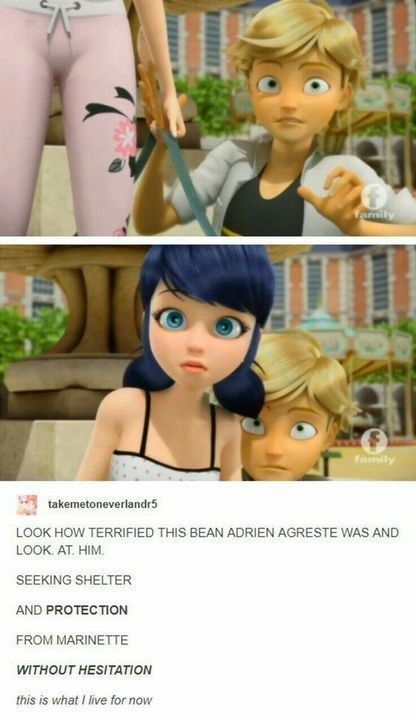 Miraculous Adrienette, Ladybug E Catnoir, No One Asked, Marinette Et Adrien, Miraculous Memes, Memes No, Randy Cunningham, Miraculous Ladybug Memes, Miraculous Ladybug Fanfiction