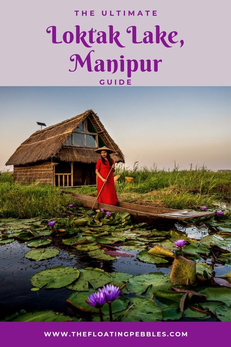 Loktak Lake of Manipur Loktak Lake Manipur, Loktak Lake, Blue Winged Teal, Northeast India, States Of India, Tokyo Travel, Watch Tower, Amazing Facts, Gorgeous View