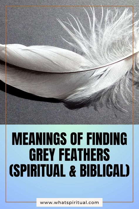 10 Meanings of Finding Grey Feathers (Spiritual & Biblical) 2 Finding A White Feather Meaning, Grey Feather Meaning, Feather Meaning Spiritual, Finding A Black Feather Meaning, Feather Spiritual Meaning, Brown And White Feather Spiritual Meaning, White Feather Meaning, Spiritual Meaning Of Feathers, Grey Feather Spiritual Meaning