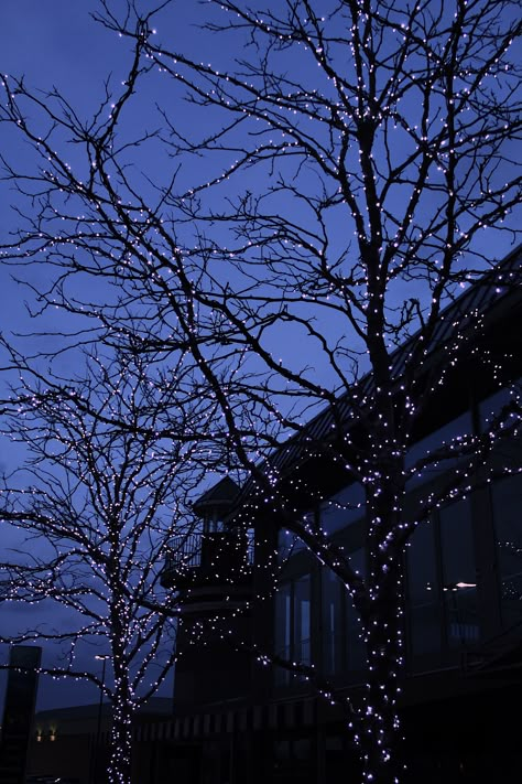 Dark Blue Christmas Aesthetic, Christmas Blue Aesthetic, Blue Christmas Aesthetic, Dark Blue Christmas, Iphone Wallpaper Photos, Blue Hour, Pretty Photos, Winter Night, Winter Aesthetic