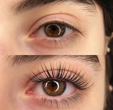 Лами Lash Tint And Lift, Eye Lash Design, Eyelash Lift And Tint, Natural Fake Eyelashes, Lash Perm, Eyebrow Lift, Grow Lashes, Eyelash Logo, Lash Tint