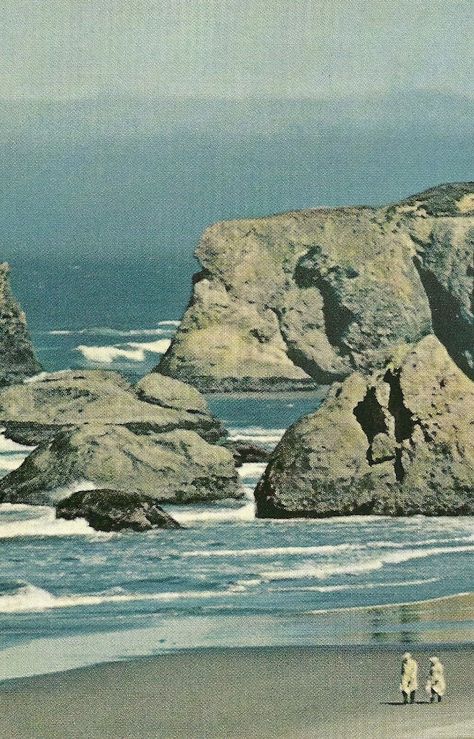 Vintage Nat Geo, National Geographic Wallpaper, Vintage National Geographic, Bandon Oregon, National Geographic Photography, Geo Wallpaper, Landscape Tattoo, Digital Experience, Scenic Photography