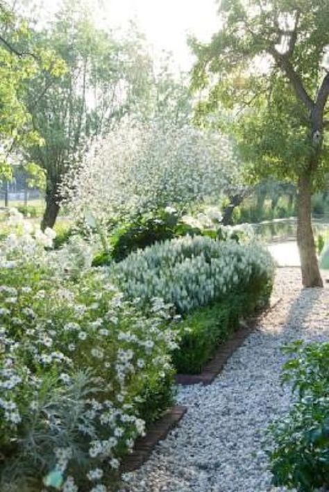 Pea Gravel Garden, Gravel Gardens, Salvia Nemorosa, Pea Gravel, Gravel Garden, Moon Garden, Have Inspiration, Garden Show, Garden Pathway