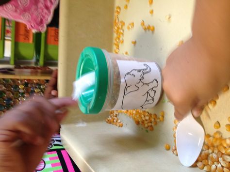 Preschool fine motor practice- "feeding" animals using paint cups and popcorn kernels.  #preschool -age children can do this while older siblings do Apologia Land Animals #homeschool Zoo Lessons, Preschool Circus, Preschool Zoo Theme, Feeding Animals, Preschool Jungle, Camping Theme Preschool, Paint Cups, Zoo Preschool, Zoo Phonics