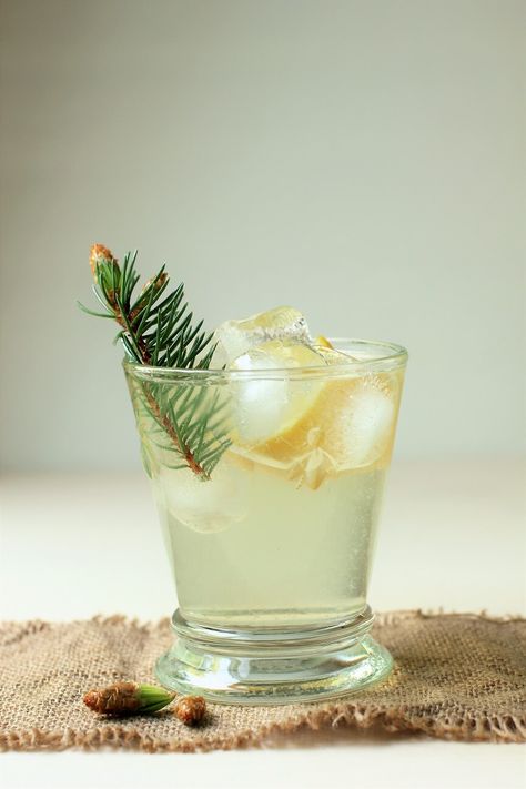 This delicate liqueur with the taste of forest sunshine is easy to make by steeping delicate spruce tips in spirits. It can be enjoyed for straight-up sipping or mixed into unique cocktails, like a Spruce Tip Martini or a light 'Forest Cocktail'. Try it for Father's Day  #Cocktails #FathersDay Forest Themed Cocktails, Woodland Cocktail, Forest Cocktail, Infusion Recipes, Blueberry Cocktail, Wine Maker, Berry Cocktail, Day Cocktails, Light Forest