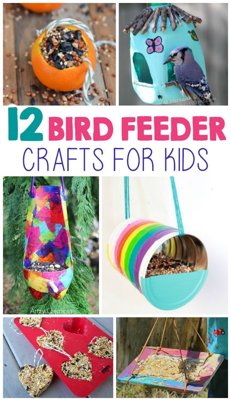 Bird feeders are a great way for you to enjoy wildlife with your kids. One of the best things about making your own bird feeder is that you’re inviting birds to visit regularly. Your kids will get to see all of the different types of birds that live in your area, as well as the ones that migrate through from … Bird Feeder Crafts, Bird Feeders Diy Kids, Different Types Of Birds, Bird Feeder Craft, Types Of Birds, Easy Bird, Diy Bird Feeder, Diy Birds, Crafty Kids