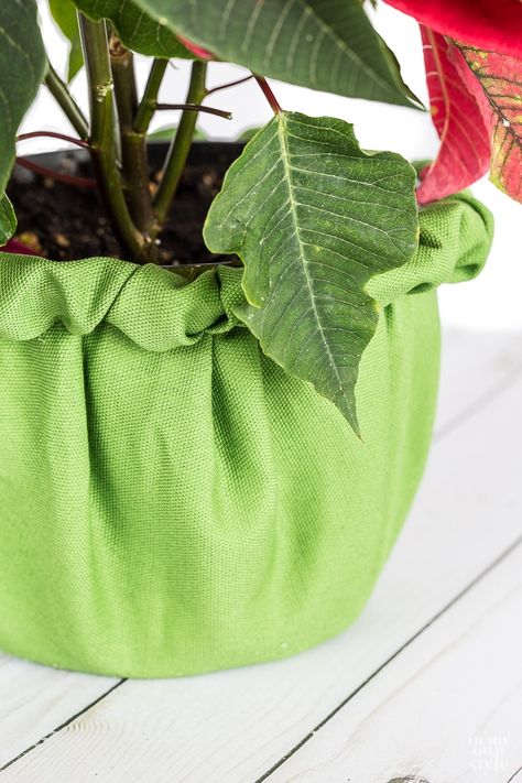 Fabric cover hack for plastic flower pots Cinched Fabric, Diy Flower Pot, Fabric Plant, Planter Cover, Small Patio Decor, Plant Pot Diy, Flower Pot Design, Plant Pot Covers, Christmas Plants