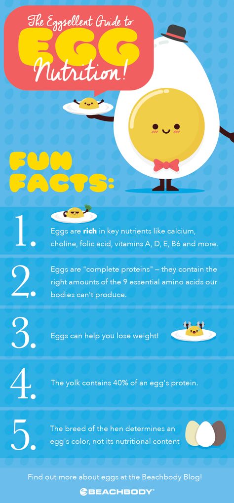 Eggs nutrition facts, egg white nutrition facts, egg yolk nutrition. Egg Facts, Egg Nutrition Facts, Egg Nutrition, Egg Benefits, Nutrition Chart, Nutrition Quotes, Nutrition Month, Nutrition Sportive, Egg Recipe