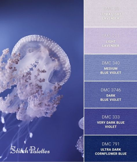 Jellyfish Color Palette, Stitch Palettes, Christmas Color Palette, Midnight Blue Color, Color Palette Challenge, Paint Color Schemes, Color Schemes Colour Palettes, Brand Color Palette, Color Palette Design