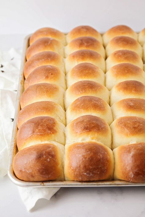 The Baker Upstairs Pull Apart Dinner Rolls, Pull Apart Rolls, Dinner Menu Planning, Honey Butter Recipe, Special Occasion Dinner, Homemade Bread Recipes Easy, Easy Bread Recipes, Delicious Bread, Sandwich Bread