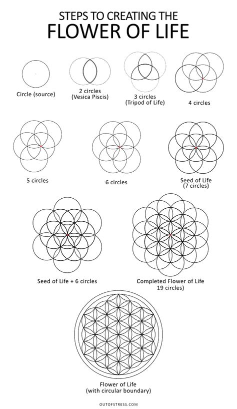 Flower of Life – Symbolism + 6 Hidden Meanings (Sacred Geometry) Seed Of Life Tattoo Mandalas, Seven Chakras Art Sacred Geometry, Terrance Howard Flower Of Life, Flower Of Life Tutorial, Sacred Geometry Tattoo Ideas, Germ Of Life Sacred Geometry, Simple Sacred Geometry, Flowers Of Life Tattoo, Flower Of Life Wrist Tattoo