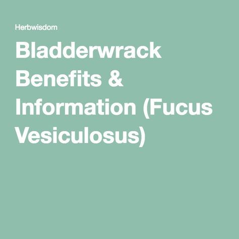 Bladderwrack Benefits & Information (Fucus Vesiculosus) Bladderwrack Benefits, Stem Cell Supplements, Peppermint Benefits, Thyroid Function, Thyroid Gland, Alkaline Foods, Mentha Piperita, Boost Metabolism, Superfoods