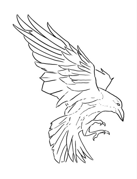 Crow Line Art Tattoo, Raven Line Art Tattoo, Raven Outline Drawing, Raven Silhouette Stencil, Raven Drawing Sketch Simple, Crow Bird Drawing, Crow Line Tattoo, Crow Sketch Tattoo, Raven Tattoo Linework