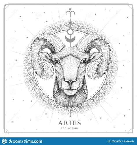 Modern Magic Witchcraft Card With Astrology Aries Zodiac Sign. Realistic Hand Drawing Ram Or Mouflon Head Stock Vector - Illustration of hand, logo: 176916754 Realistic Hand Drawing, Arte Aries, Ram Tattoo, Capricorn Art, Capricorn Goat, Astrology Capricorn, 12 Cung Hoàng Đạo, Aries Art, Capricorn Tattoo