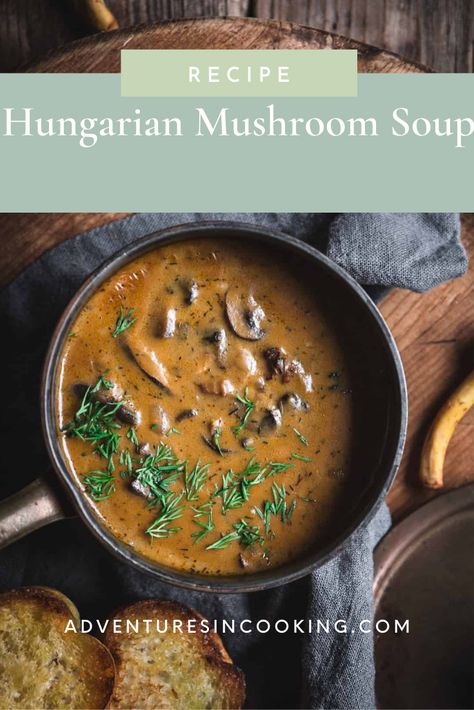 Embrace the cozy vibes this winter with my mouthwatering Hungarian Mushroom Soup recipe. A blend of creamy textures and earthy flavors, this soup is perfect for a comforting meal on chilly days. Let me guide you through the steps to create this heartwarming dish that will make your wintery evenings simply unforgettable. Mushroom Beef Soup, Hungarian Dishes, Hungarian Mushroom, Hungarian Mushroom Soup, Rustic Food Photography, Mushroom Soup Recipe, Moody Food Photography, Mushroom Soup Recipes, Food Photography Tips