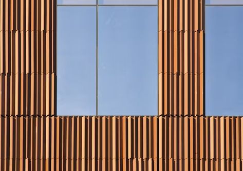 LONGOTON® Terracotta Rainscreens | Shildan Group Terracotta Cladding, Rainscreen Cladding, Exterior Cladding, Color Glaze, Facade Architecture, Terra Cotta, Design Challenges, Custom Art, Beams